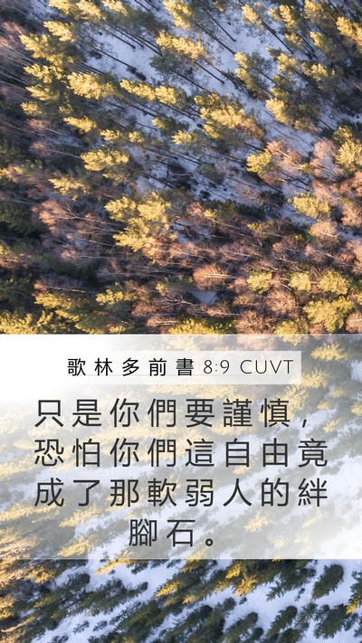歌 林 多 前 書 8:9 CUVT Bible Verse Image