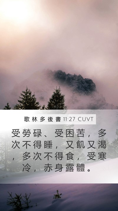 歌 林 多 後 書 11:27 CUVT Bible Verse Image
