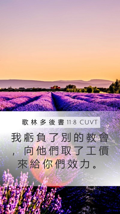 歌 林 多 後 書 11:8 CUVT Bible Verse Image