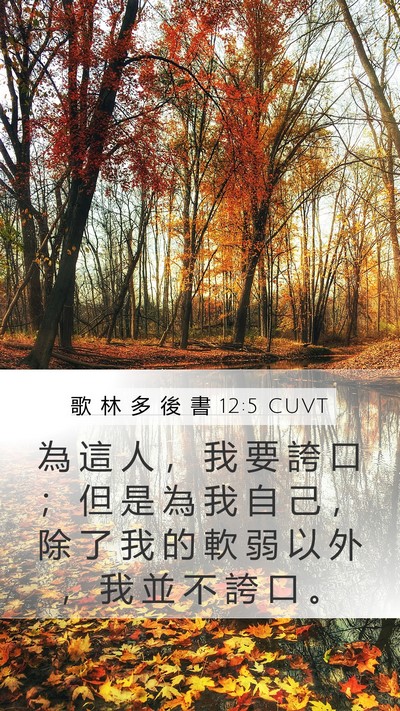 歌 林 多 後 書 12:5 CUVT Bible Verse Image