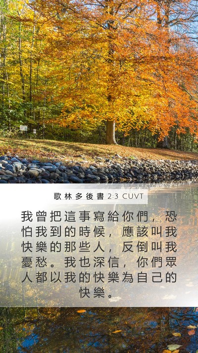 歌 林 多 後 書 2:3 CUVT Mobile Phone Wallpaper - 我 曾 把 這 事 寫 給 你 們 ， 恐 怕 - Mobile Bible Verse Wallpaper