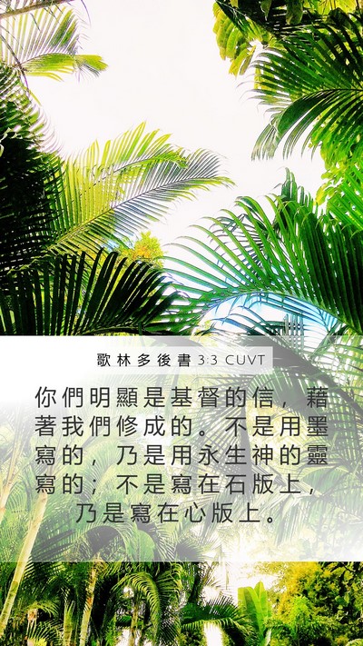歌 林 多 後 書 3:3 CUVT Bible Verse Image