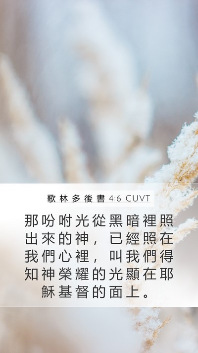 歌 林 多 後 書 4:6 CUVT Bible Verse Image