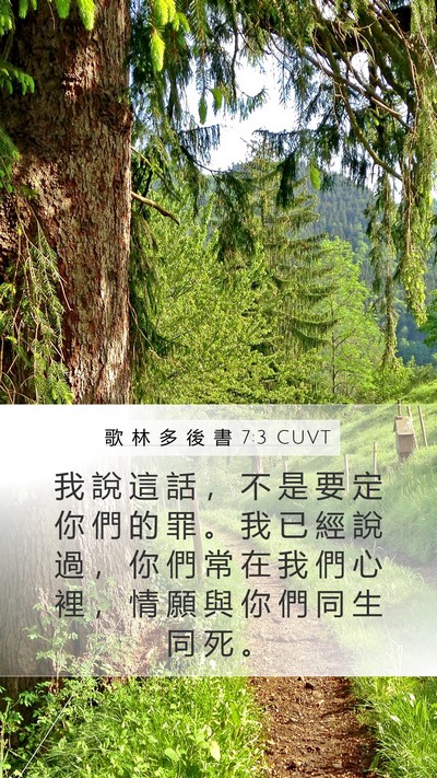 歌 林 多 後 書 7:3 CUVT Bible Verse Image