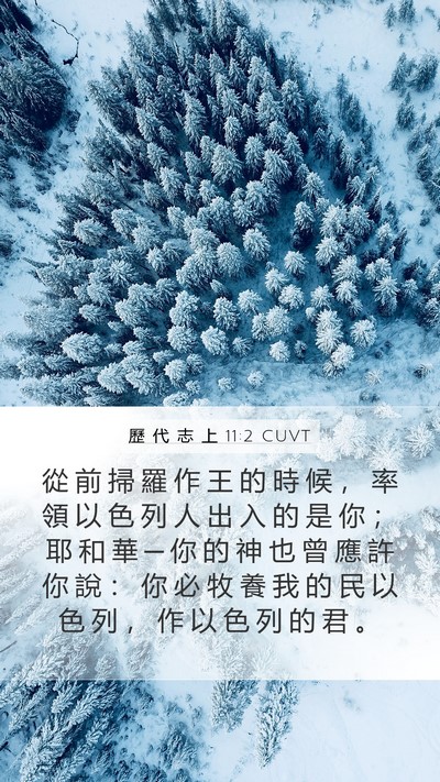 歷 代 志 上 11:2 CUVT Bible Verse Image