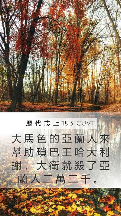 歷 代 志 上 18:5 CUVT Bible Verse Image