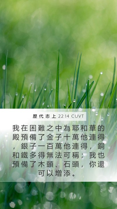 歷 代 志 上 22:14 CUVT Bible Verse Image
