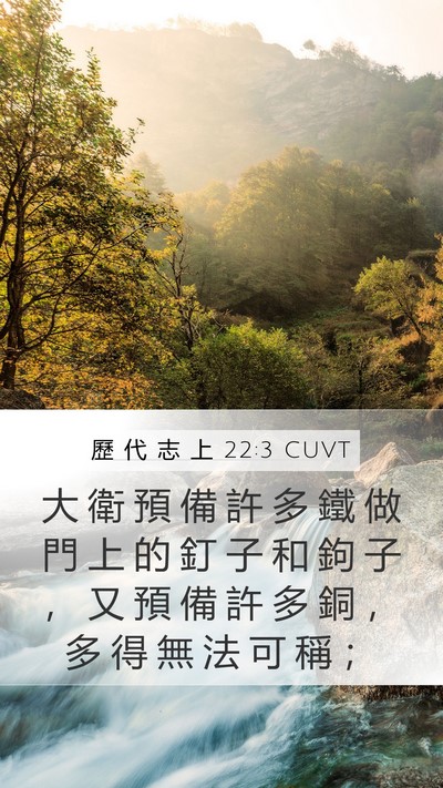 歷 代 志 上 22:3 CUVT Bible Verse Image