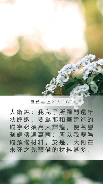歷 代 志 上 22:5 CUVT Bible Verse Image