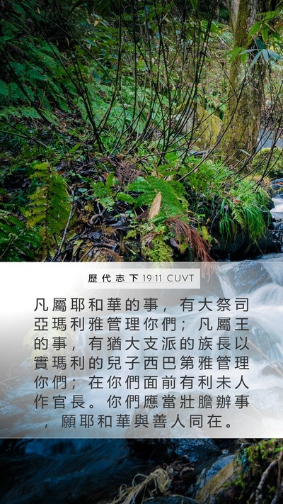歷 代 志 下 19:11 CUVT Bible Verse Image