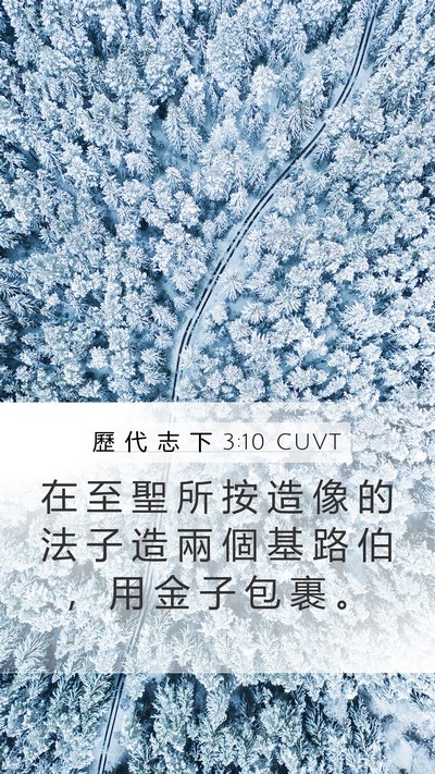 歷 代 志 下 3:10 CUVT Bible Verse Image