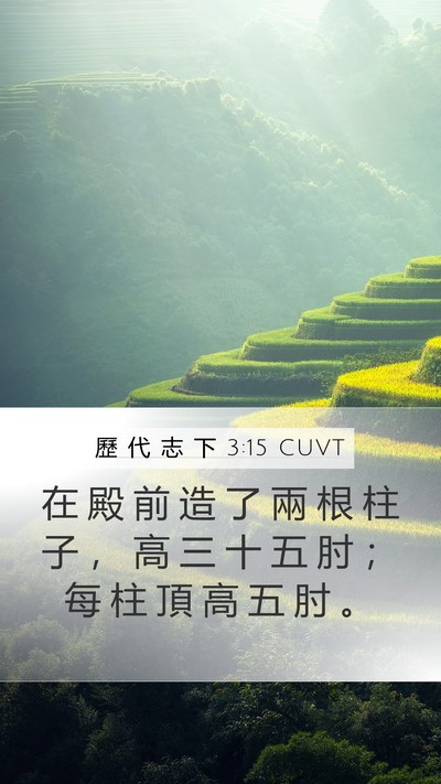 歷 代 志 下 3:15 CUVT Bible Verse Image