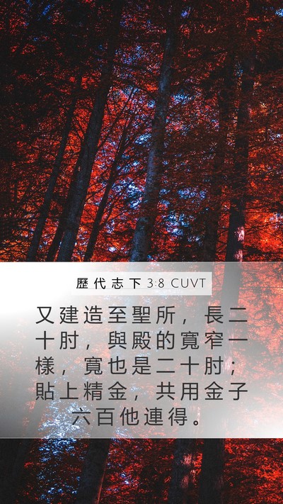 歷 代 志 下 3:8 CUVT Bible Verse Image