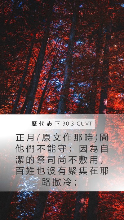 歷 代 志 下 30:3 CUVT Bible Verse Image