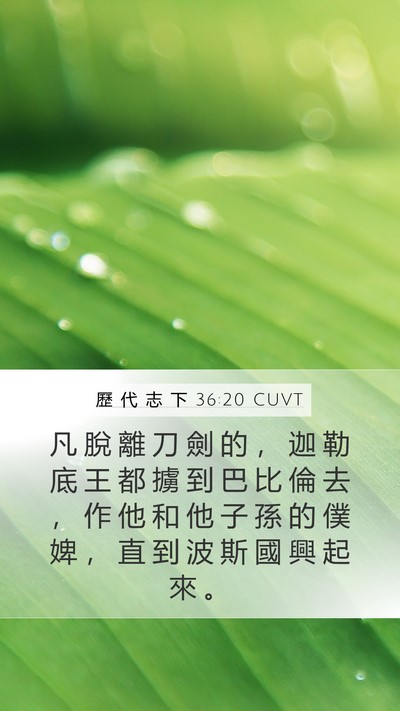 歷 代 志 下 36:20 CUVT Bible Verse Image