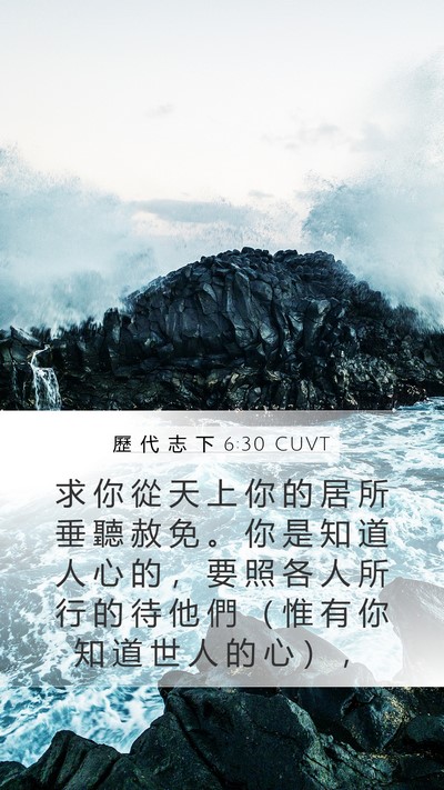 歷 代 志 下 6:30 CUVT Bible Verse Image