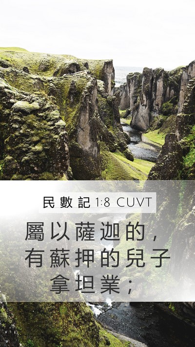 民 數 記 1:8 CUVT Bible Verse Image