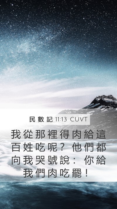 民 數 記 11:13 CUVT Mobile Phone Wallpaper - 我 從 那 裡 得 肉 給 這 百 姓 吃 呢 - Mobile Bible Verse Wallpaper