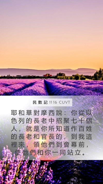民 數 記 11:16 CUVT Bible Verse Image