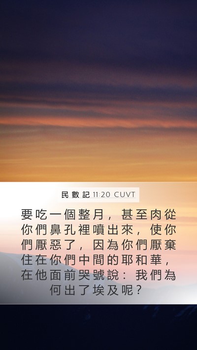 民 數 記 11:20 CUVT Mobile Phone Wallpaper - 要 吃 一 個 整 月 ， 甚 至 肉 從 你 - Mobile Bible Verse Wallpaper