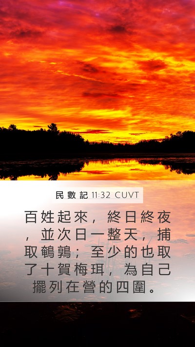 民 數 記 11:32 CUVT Mobile Phone Wallpaper - 百 姓 起 來 ， 終 日 終 夜 ， 並 次 - Mobile Bible Verse Wallpaper