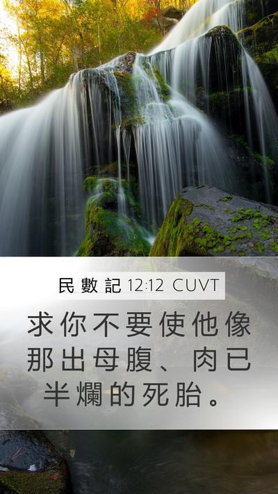 民 數 記 12:12 CUVT Mobile Phone Wallpaper - 求 你 不 要 使 他 像 那 出 母 腹 、 - Mobile Bible Verse Wallpaper