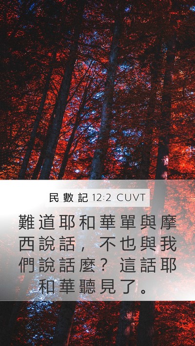 民 數 記 12:2 CUVT Mobile Phone Wallpaper - 難 道 耶 和 華 單 與 摩 西 說 話 ， - Mobile Bible Verse Wallpaper