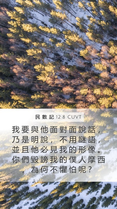 民 數 記 12:8 CUVT Mobile Phone Wallpaper - 我 要 與 他 面 對 面 說 話 ， 乃 是 - Mobile Bible Verse Wallpaper