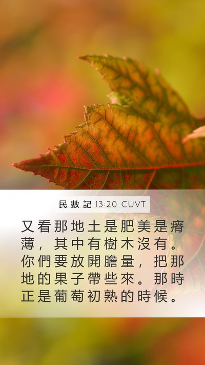 民 數 記 13:20 CUVT Mobile Phone Wallpaper - 又 看 那 地 土 是 肥 美 是 瘠 薄 ， - Mobile Bible Verse Wallpaper