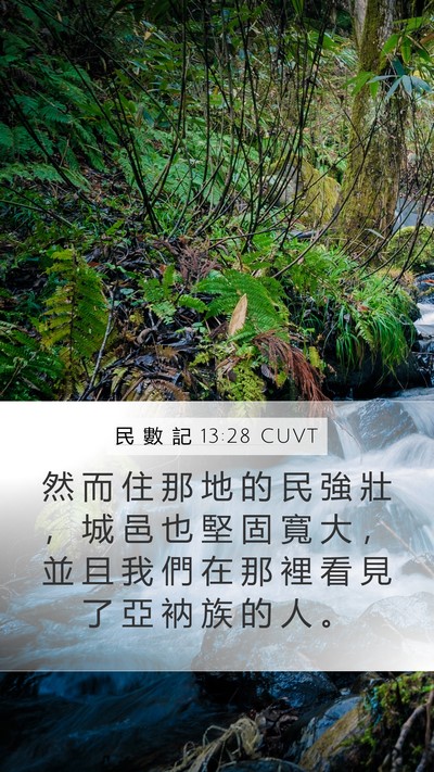 民 數 記 13:28 CUVT Bible Verse Image