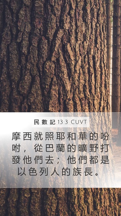 民 數 記 13:3 CUVT Bible Verse Image