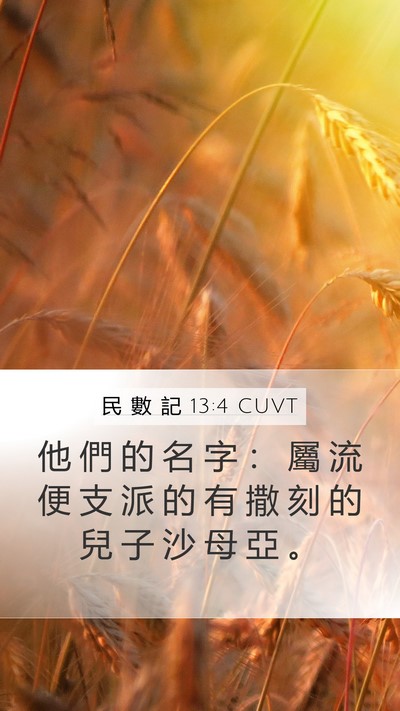 民 數 記 13:4 CUVT Mobile Phone Wallpaper - 他 們 的 名 字 ： 屬 流 便 支 派 的 - Mobile Bible Verse Wallpaper