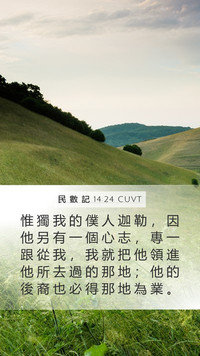 民 數 記 14:24 CUVT Bible Verse Image