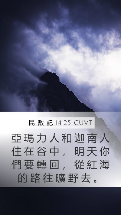 民 數 記 14:25 CUVT Bible Verse Image