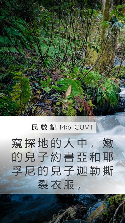 民 數 記 14:6 CUVT Bible Verse Image