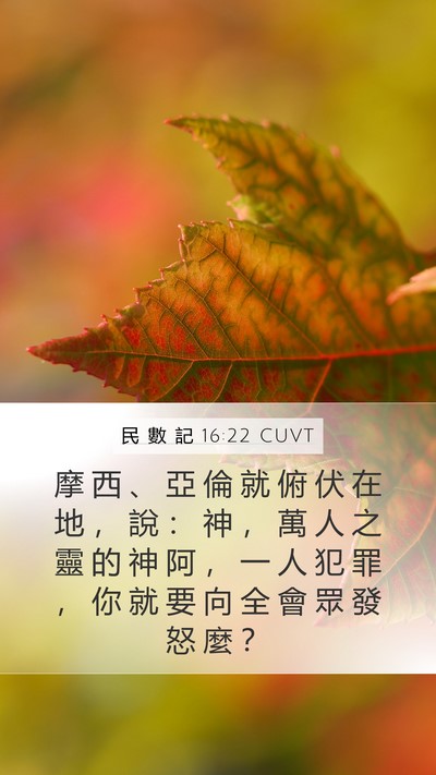 民 數 記 16:22 CUVT Mobile Phone Wallpaper - 摩 西 、 亞 倫 就 俯 伏 在 地 ， 說 - Mobile Bible Verse Wallpaper