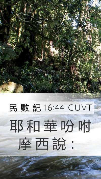 民 數 記 16:44 CUVT Mobile Phone Wallpaper - 耶 和 華 吩 咐 摩 西 說 - Mobile Bible Verse Wallpaper