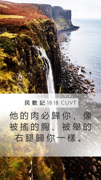 民 數 記 18:18 CUVT Mobile Phone Wallpaper - 他 的 肉 必 歸 你 ， 像 被 搖 的 胸 - Mobile Bible Verse Wallpaper