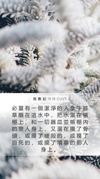 民 數 記 19:18 CUVT Bible Verse Image