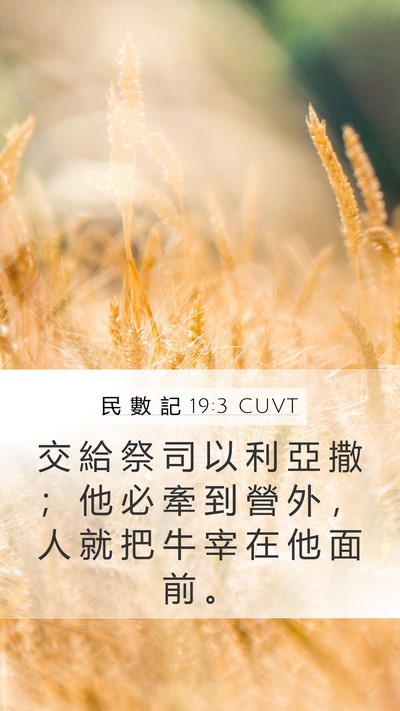 民 數 記 19:3 CUVT Mobile Phone Wallpaper - 交 給 祭 司 以 利 亞 撒 ； 他 必 牽 - Mobile Bible Verse Wallpaper