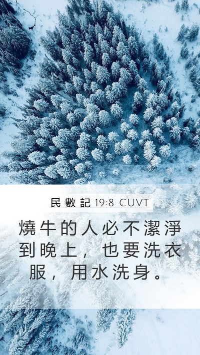 民 數 記 19:8 CUVT Mobile Phone Wallpaper - 燒 牛 的 人 必 不 潔 淨 到 晚 上 ， - Mobile Bible Verse Wallpaper