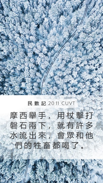 民 數 記 20:11 CUVT Bible Verse Image