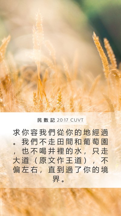 民 數 記 20:17 CUVT Mobile Phone Wallpaper - 求 你 容 我 們 從 你 的 地 經 過 。 - Mobile Bible Verse Wallpaper