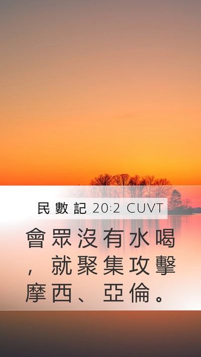 民 數 記 20:2 CUVT Bible Verse Image