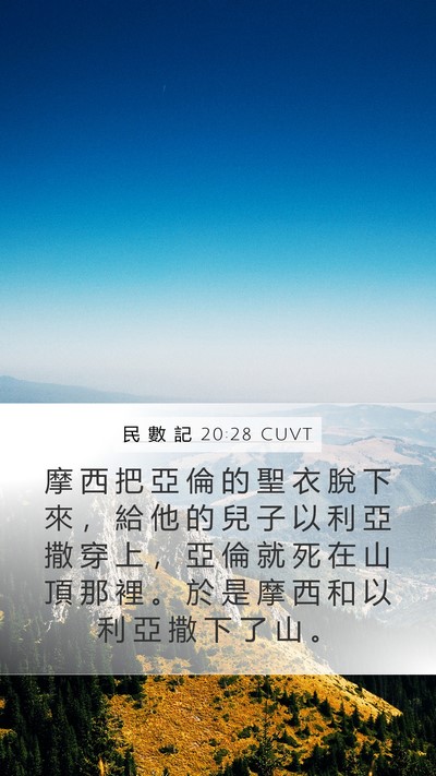 民 數 記 20:28 CUVT Mobile Phone Wallpaper - 摩 西 把 亞 倫 的 聖 衣 脫 下 來 ， - Mobile Bible Verse Wallpaper