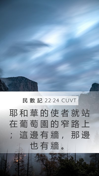 民 數 記 22:24 CUVT Mobile Phone Wallpaper - 耶 和 華 的 使 者 就 站 在 葡 萄 園 - Mobile Bible Verse Wallpaper