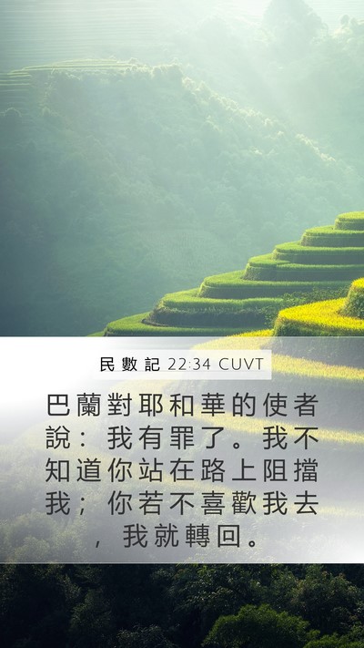 民 數 記 22:34 CUVT Bible Verse Image