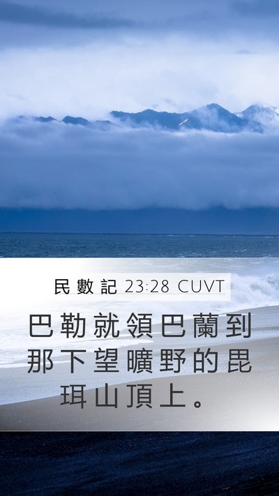 民 數 記 23:28 CUVT Mobile Phone Wallpaper - 巴 勒 就 領 巴 蘭 到 那 下 望 曠 野 - Mobile Bible Verse Wallpaper