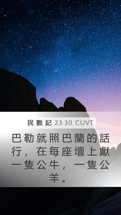 民 數 記 23:30 CUVT Mobile Phone Wallpaper - 巴 勒 就 照 巴 蘭 的 話 行 ， 在 每 - Mobile Bible Verse Wallpaper