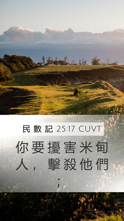 民 數 記 25:17 CUVT Bible Verse Image